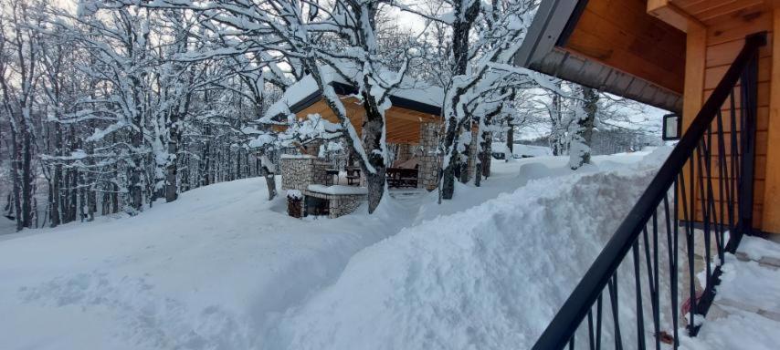 Vila Sun Forest Žabljak Buitenkant foto