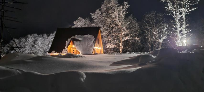 Vila Sun Forest Žabljak Buitenkant foto