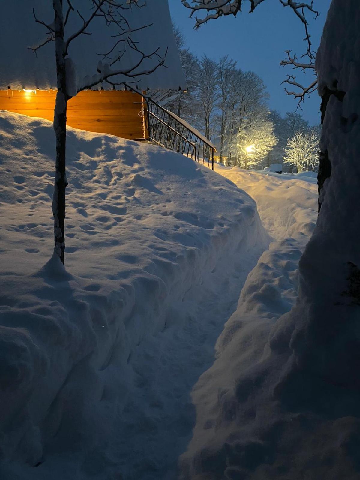 Vila Sun Forest Žabljak Buitenkant foto