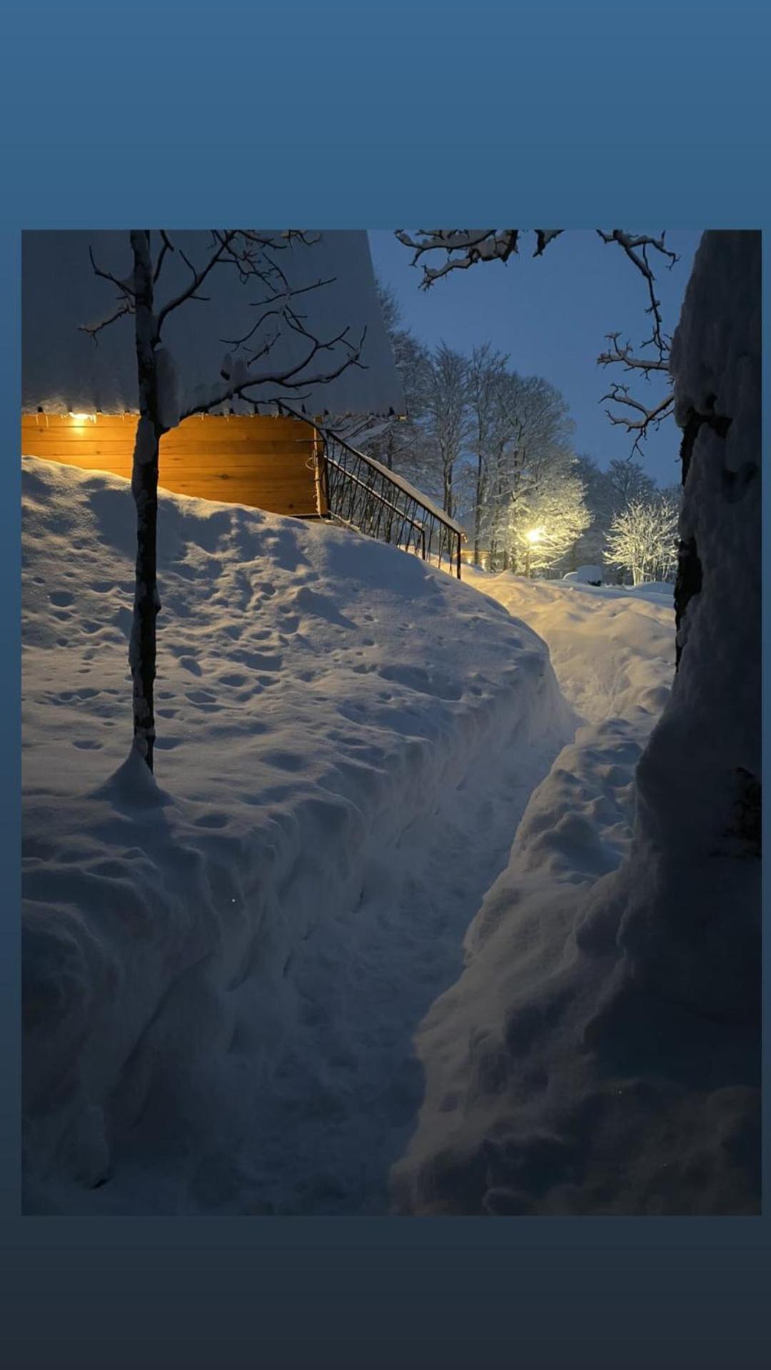 Vila Sun Forest Žabljak Buitenkant foto
