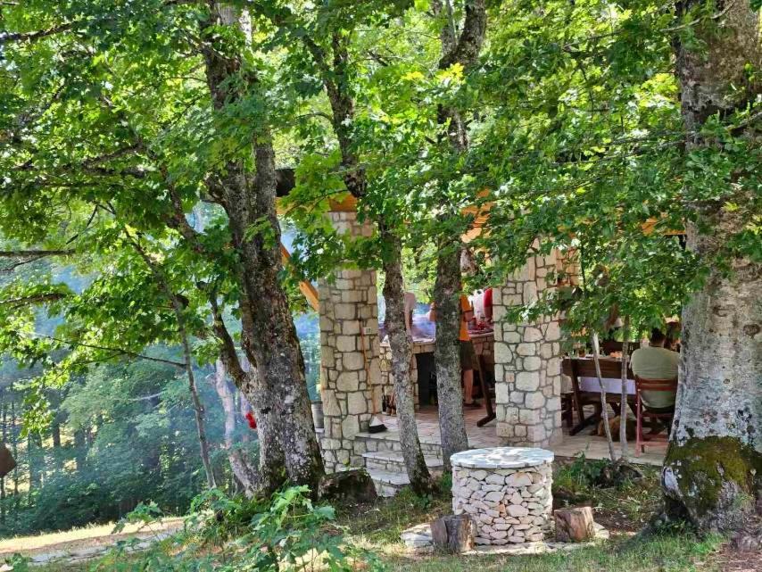 Vila Sun Forest Žabljak Buitenkant foto